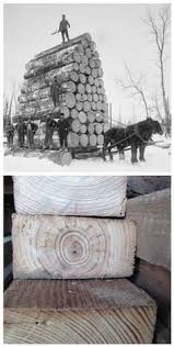 Maybe you would like to learn more about one of these? Haselton Lumber Haselton Profile Pinterest