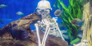 How To Handle Strong Acids: 5 Excellent Examples