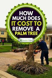Provided is some helpful information to answer your questions about the process of determining tree removal cost. How Much Does It Cost To Remove A Palm Tree Garden Tabs