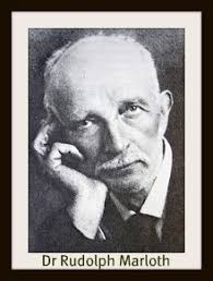 Fynbos Biome -The Garden Route Garden