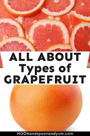 Image result for Grapefruit