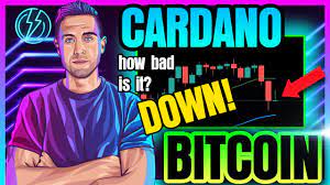 (crypto capital venture mission update). Bitcoin Cardano Down How Bad Is It Really Youtube