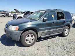 Image result for Aspen Green 2004 Escape