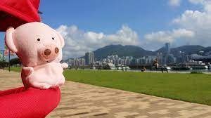mac dull kinderwagon just make outing enjoyable 美國kinderwagon香港總代理 www kinderwagon com hk kinderwagon hop 雙人外出嬰兒車 dinosaur stuffed animal kong hong kong