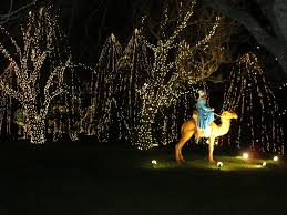 Way Of Lights Focusing On The Birth Of Jesus This Unique Celebration Of Christmas Features A Mile And A Half Drive With Ov Journey To Bethlehem St Louis Trip