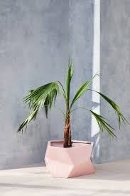 Sculpture planter by green habitat®. 15 Of The Best New Homeware Products In The Spring Summer 2019 Collections Melanie Lissack Interiors
