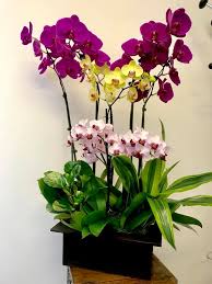 Check reviews and discounted rates for aaa/aarp property description. Cityflowersla Net Home Facebook