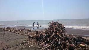 Brebes, kabupaten brebes, jawa tengah 52219, indonesia. Tumpukan Sampah Di Pantai Randusanga Brebes Dikeluhkan Pengunjung Panturapost Com
