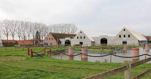 Willy naessens swimming pools bouwt het zwembad in je tuin tot op de centimeter nauwkeurig! Hoeve Willy Naessens Breidt Uit Met Ruimte Voor 300 Koetsen Ik Ben 80 Het Is Tijd Om Minder Te Werken En Meer Met Paarden Bezig Te Zijn Wortegem Petegem Hln Be