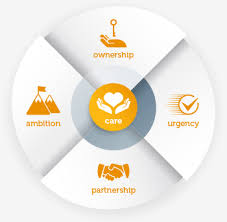 When you don't know your values, you violate them every day. Our Vision Values Sobi