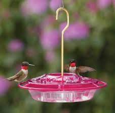 Check spelling or type a new query. Choosing A Hummingbird Feeder Backyard Bird Shop