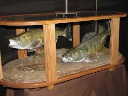Fish Mount Table Fish Mounts Fishing Room Fish