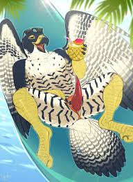 Rule34 - If it exists, there is porn of it  pig (artist), falcon  3625674