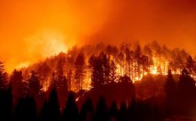 Últimas noticias, fotos, y videos de incendio las encuentras en el comercio. Incendios En California Dejan Miles De Evacuados