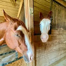 Jake Masterson (@crownmranch) • Instagram photos and videos