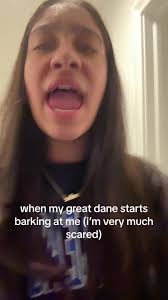 Great Dane Scaring People by Barking