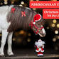 CHRISTMAS SHOW NDHS @CANAAN FARM event image