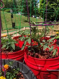 5 gallon buckets is how my husband started out gardening. Five Gallon Bucket Supply List Alabama Cooperative Extension System