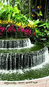 Nature Gif Beautiful Flowers Garden Beautiful Gif Beautiful Gardens