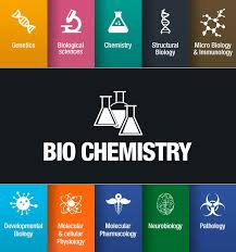 How To Become A Clinical Biochemist (Plus Salary And Duties) | Indeed.Com
