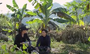Xem phim hướng dương ngược nắng tập mới nhất ở đâu? Trá»±c Tiáº¿p Táº­p 29 Phim HÆ°á»›ng DÆ°Æ¡ng NgÆ°á»£c Náº¯ng 21h40 Hom Nay 18 2 Tren Vtv3