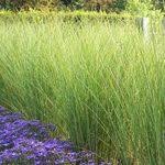 Ein Paar Leute Aus Unserem Dorf Wissen Inzwischen Dass Ich An Alten Dingen Aus Metall Interessiert Bin Aus Diesem Grund Durfte Garten Gartenregal Garten Deko