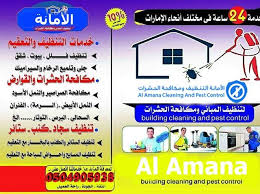 شركة تنظيف الفلل والشقق وغسيل الكنب والسجاد والستائر مع التعقيم 0504905938 Pest Control 10 Things Cleaning