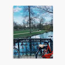 This is where locals go to sunbathe, cycle or play outside. Vondelpark Bridge In Amsterdam Poster By Melissabess Redbubble