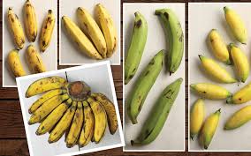 Menggunakan buah pisang kualitas bagus yang sudah masak sebanyak 6 buah. Kenali 8 Jenis Pisang Ini Gaya Olah Yang Cocok