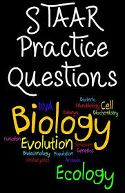 The test itself contains a reference sheet and graphing paper. Pin On Bio