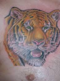 Against the grain artisan gallery and tattoo offers unique and functional indoor and outdoor furniture, decorative housewares, gifts, yard art and birdhouses, bath and body products, jewelry, permanent wearable art for the body and art for the home and tattoos! Tiger Tattoo By Lisa Murphy Www Againstthegraintattoo Com Tiger Tattoo Grain Tattoo Tattoos