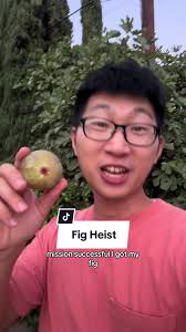 Don’t tell my neighbor… #fruitbandit #figs