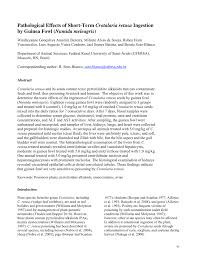 Image result for Crotalaria argyrolobioides