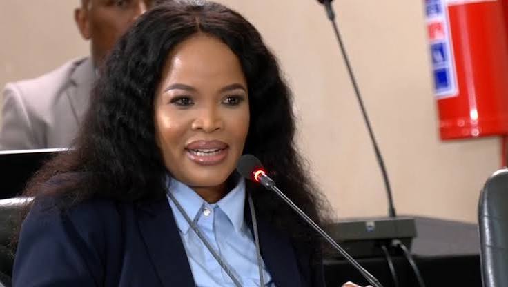 Parliament Ad Hoc Committee | Witnesses at the Kgosi Mampuru Correctional Facility