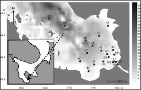 Maybe you would like to learn more about one of these? The Description And Prediction Of Benthic Biodiversity In High Arctic And Freshwater Dominated Marine Areas The Southern Onega Bay The White Sea Sciencedirect