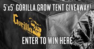 Your kind k5 will cultivate record breaking yields, both in quantity and quality, while running quieter, cooler, and more efficiently than any other grow light. Gorilla Grow Tent 5 X5 Giveaway Grow Strong Industries Grow Tent Tent Gorilla