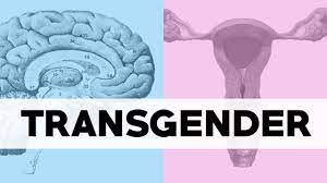 Meaning of transgender in english. What Does Transgender Mean Youtube