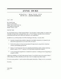 This cover letter was written by resumemycareer's staff of professional resume writers, and demonstrates how a cover letter for a chief financial officer cover letter sample should properly be created. Cfo Cover Letter