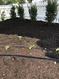 Pin On Gardening