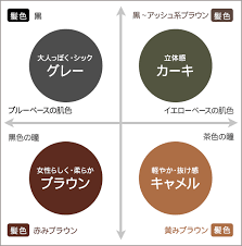 肌色 髪色別 アイブロウの上手な色選び 秋 ヘアカラー メイクのコツ なりたい目元になるアイメイク