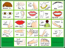 Maybe you would like to learn more about one of these? Bahasa Arab Anggota Tubuh Beserta Artinya Lengkap