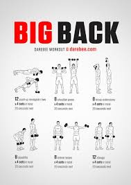 Big Back Dumbbells Free Weight Workout Big Back Workout Workout Posters