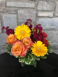 Celebrate your day!™ from $74.95. Highland Florist Highland Ut Flower Shop The Painted Daisy Florist