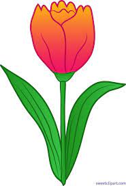 Pretty Tulip Clip Art Free Clip Art Clip Art Pink Tulips