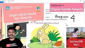 We did not find results for: Tema 1 Kelas 5 Sistem Gerak Hewan Dan Manusia Subtema 1 Bagan 4 Hal 37 55 K13 Revisi 2017 Youtube