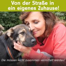Sie sind nur als team zu vermitteln, eine freundschaft fürs leben, die wir nicht trennen. Tiere Suchen Ein Zuhause Matt Missy Mel 6 Monate Mischlinge Facebook