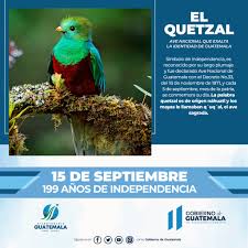 Ver más ideas sobre ave nacional de guatemala, el quetzal, aves hermosas. Facebook