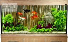I was going for a japanese garden specific theme in my tank and this is a perfect central piece. 17 Asian Themed Fish Tanks Ideas Betta Fish Tank Aquarium Fish Tank Aquarium Fish