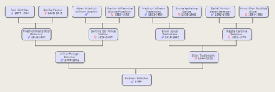 Familienstammbäume staffel 3 (in arbeit). Wie Kann Ich Einen Familienstammbaum Bei Google Tabellen Erstellen Excel Tabelle Diagramm