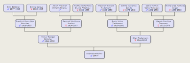 Und jedes ist eine mögliche entdeckung. Wie Kann Ich Einen Familienstammbaum Bei Google Tabellen Erstellen Excel Tabelle Diagramm